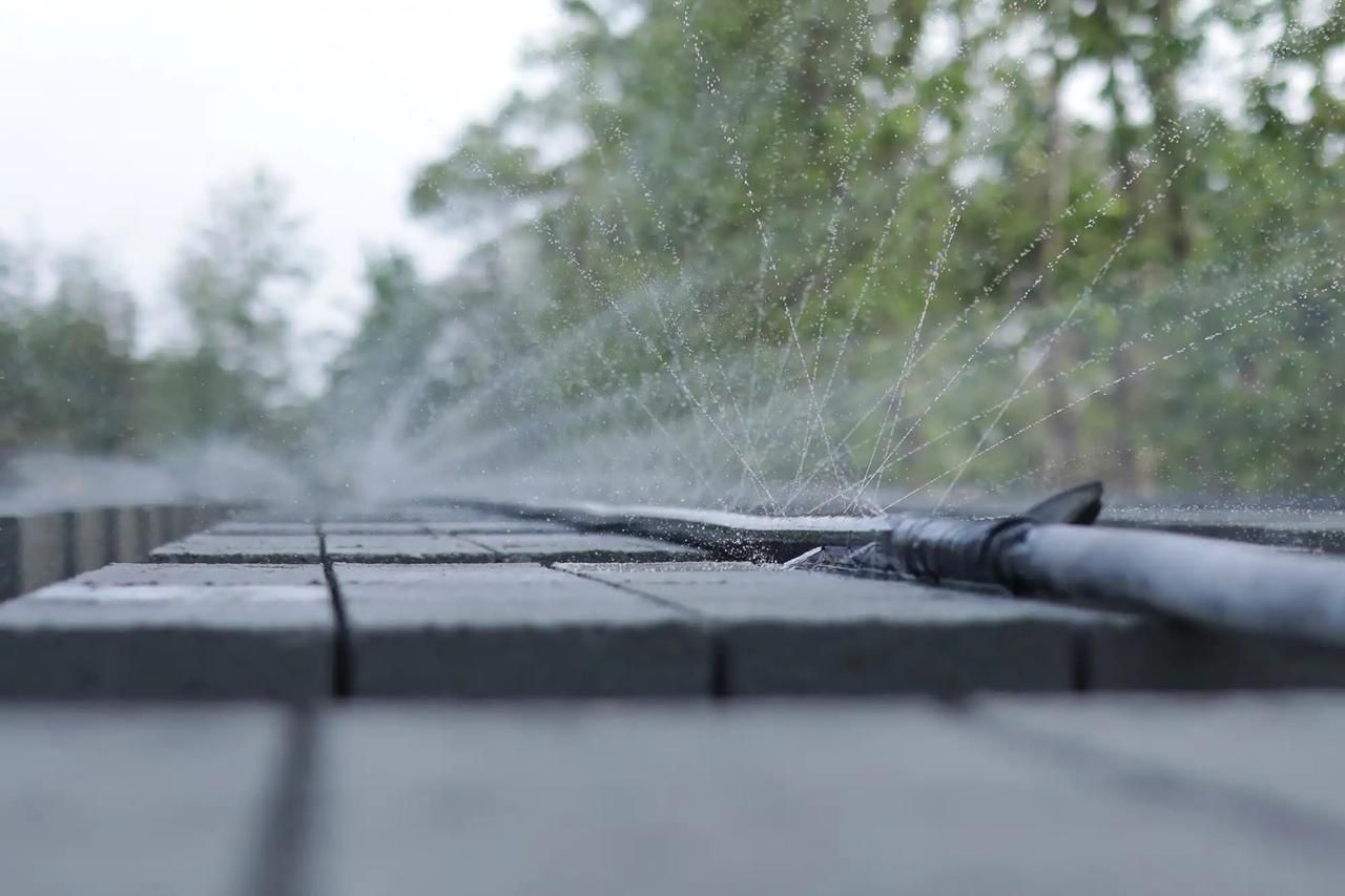 WhatsApp Image 2024-07-08 at 10.56.12